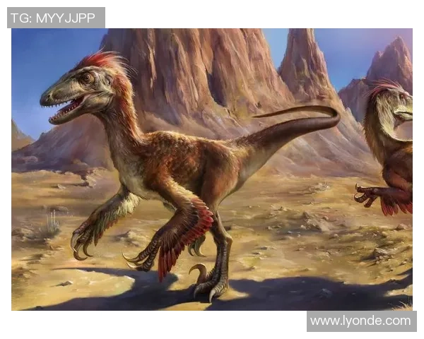 桑纳菲尤尔与克里斯的巅峰对决谁能笑到最后